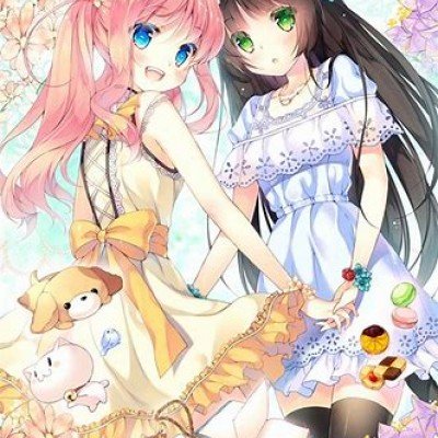 森林狼淘汰掘金